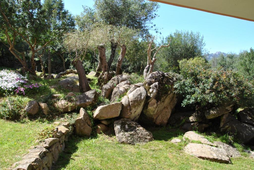 Sa Jaga Brujada Residence - Simar Vacanze Порто-Ротондо Экстерьер фото
